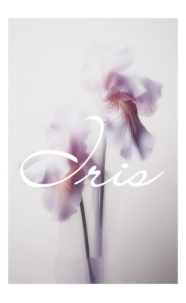 MISHOW Iris Chiffon Dress for Women Spring 2025 Waist Slim Black Fungus Edge Straps Dresses Purple Floral Fairy Dress MXE13L2095