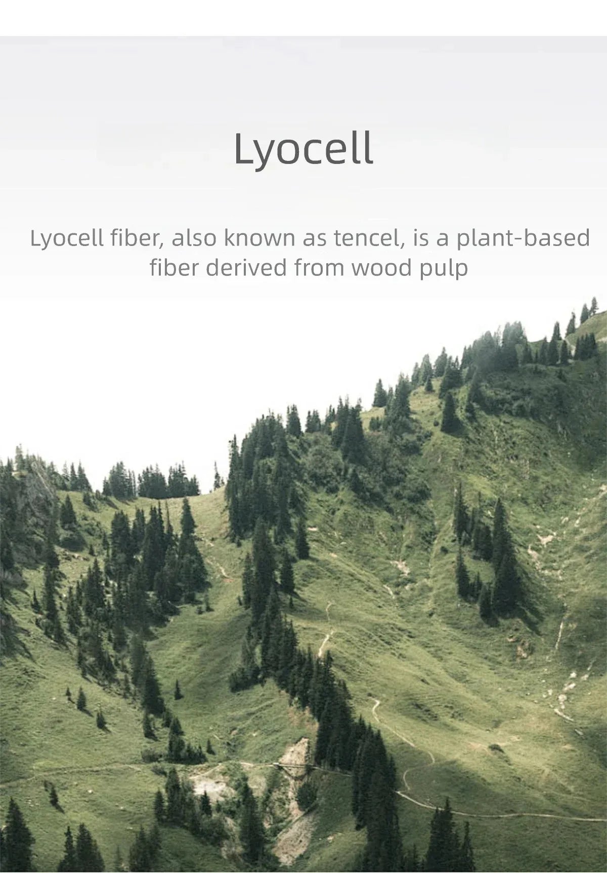 MISHOW Women's Light Blue Lyocell Shirt 2026 Spring Polo Neck V-neck Belted Waist Shirt Casual Peplum Long Sleeve Top MXF13C2437