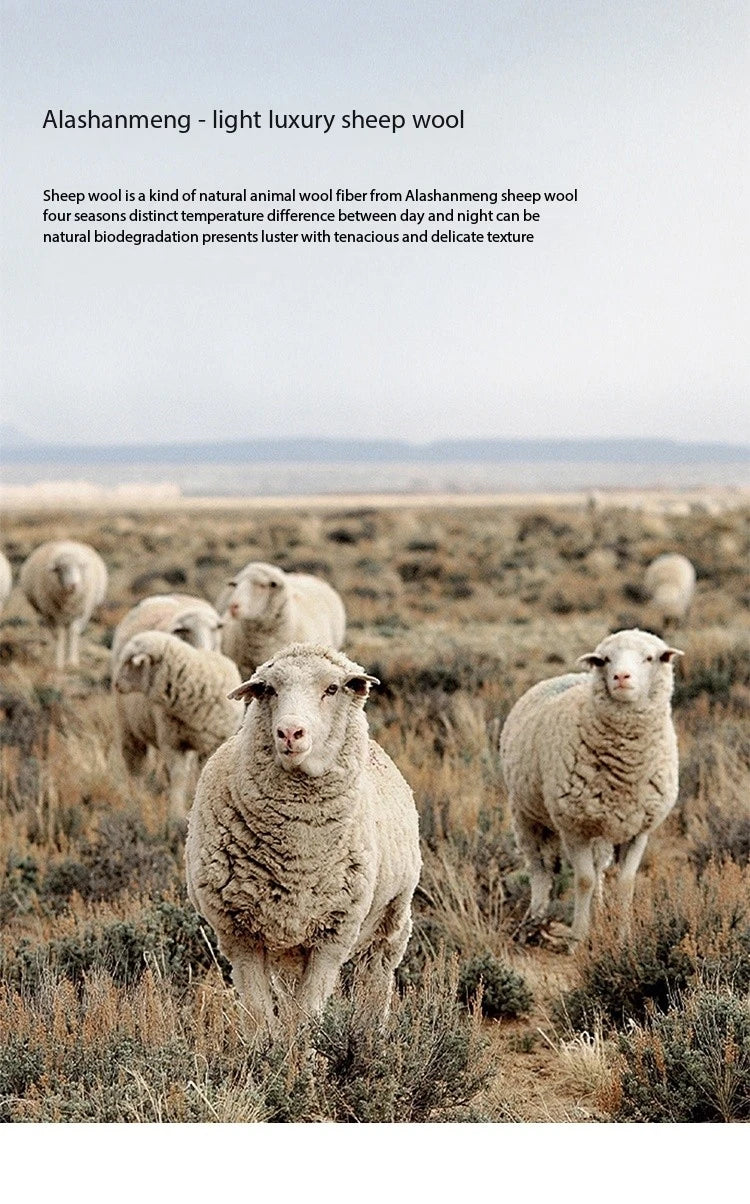 MISHOW French Knit Cardigan Women Separately 2025 Spring New Korean Casual Diamond Plaid Sweet V Neck Hollow Sweater MXE11Z1198