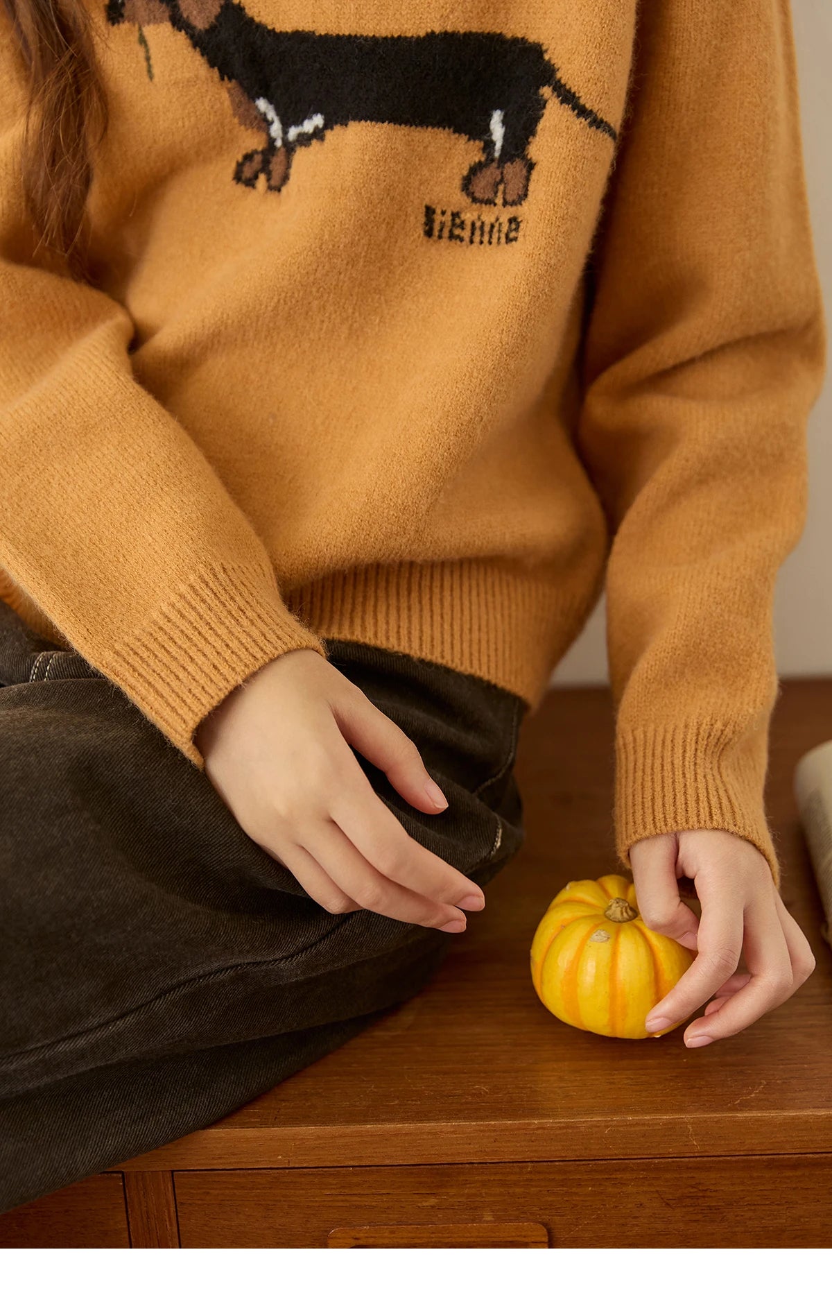 Mishow Orange Sausage Dog Jacquard Pullover MXE48Z2578