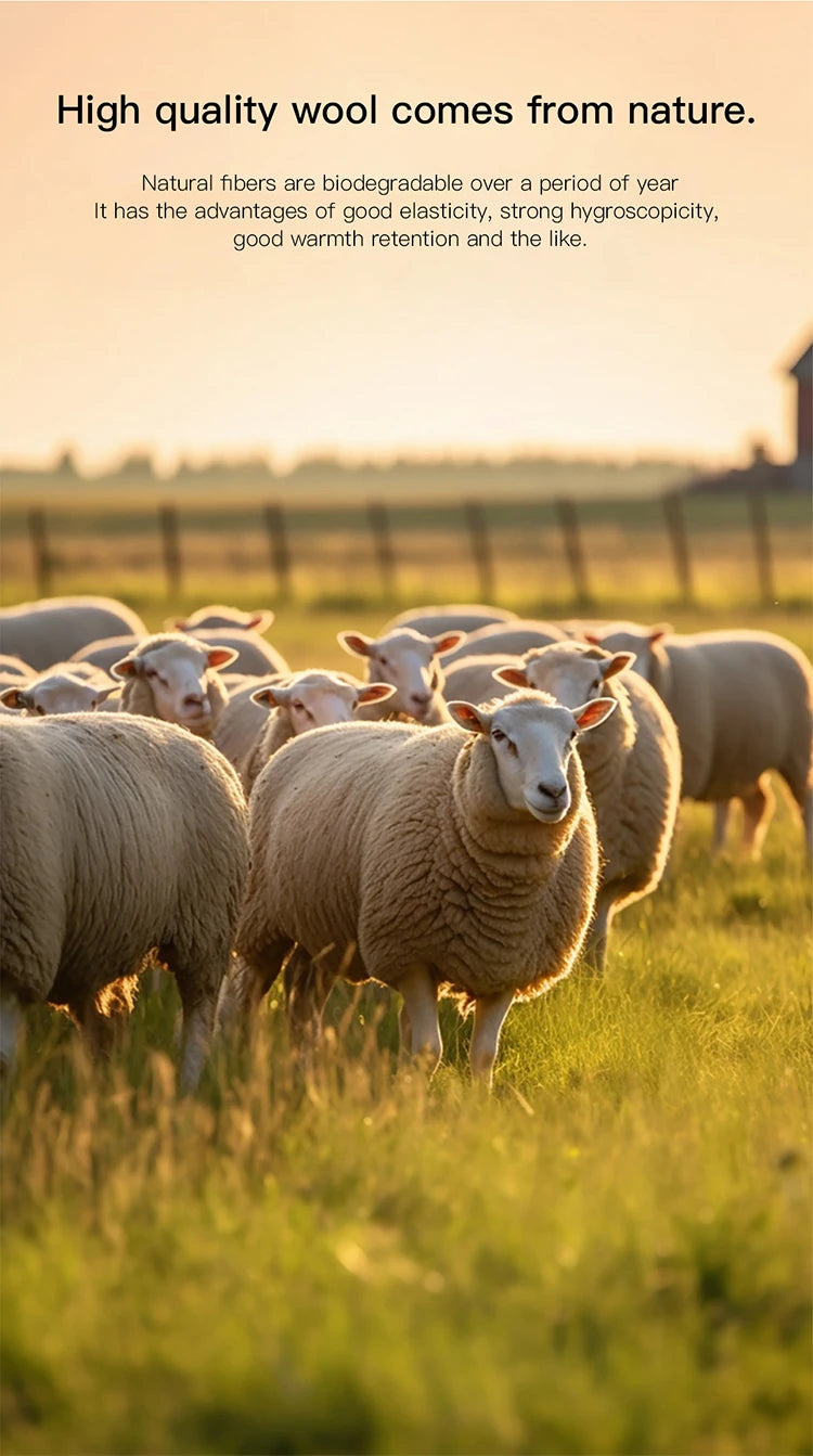 MISHOW Women's Blue Argyle Knitted Cardigan 2025 Autumn V Neck Drop Dropped Sleeve Cardigan Hollow Out Wool Blend Top MXE41Z1313