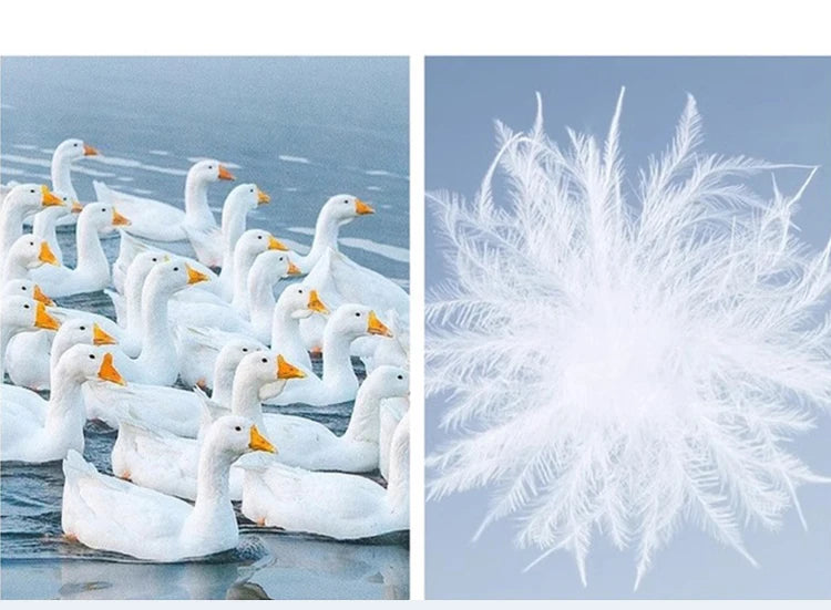 MISHOW Thickened Down Jacket Women's Hooded Zipper Long Sleeved 2024 Winter Korean Basic Warm Sweet Cotton Jacket Top MXD36Y0051