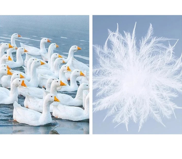 MISHOW White Duck Down Coat Hooded Long Removable Fox Fur Collar Down Jacket Zipper Design Warm Wind Resistance Coat MXD55Y0052