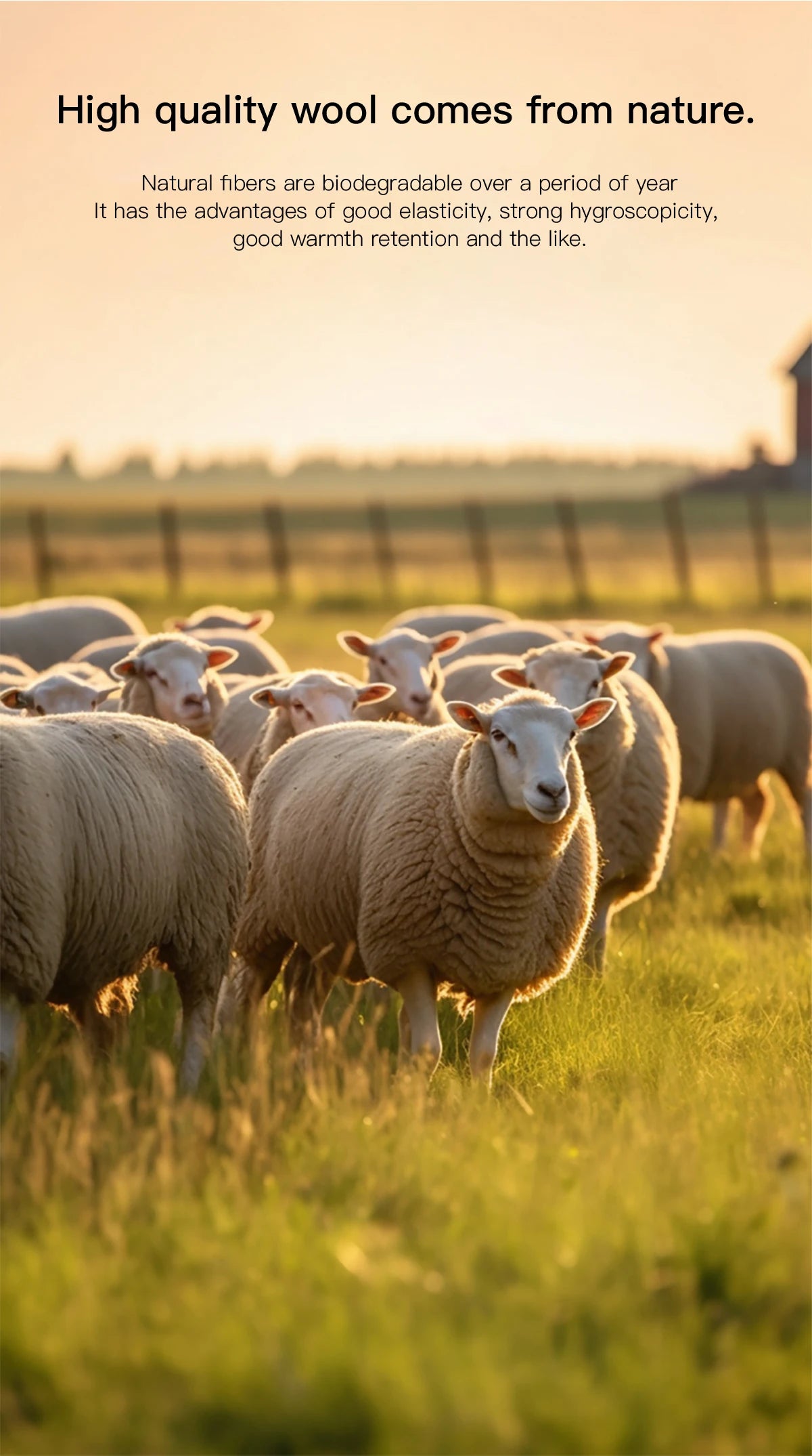 MISHOW Women's Color Block Geometric Leopard Jacquard Sweater Winter French Half Turtleneck Dropped Sleeve Knitwear MXE91Z2839