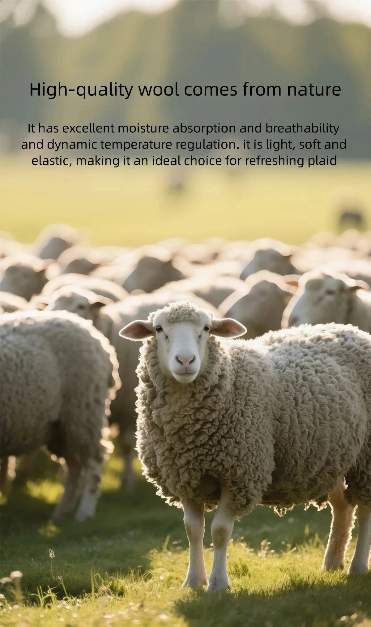 MISHOW Women's Camel Knitted Cardigan 2026 Spring Floral Embroidery Crew Neck Tops Button Warm Loose Cropped Sweater MXF11Z2896