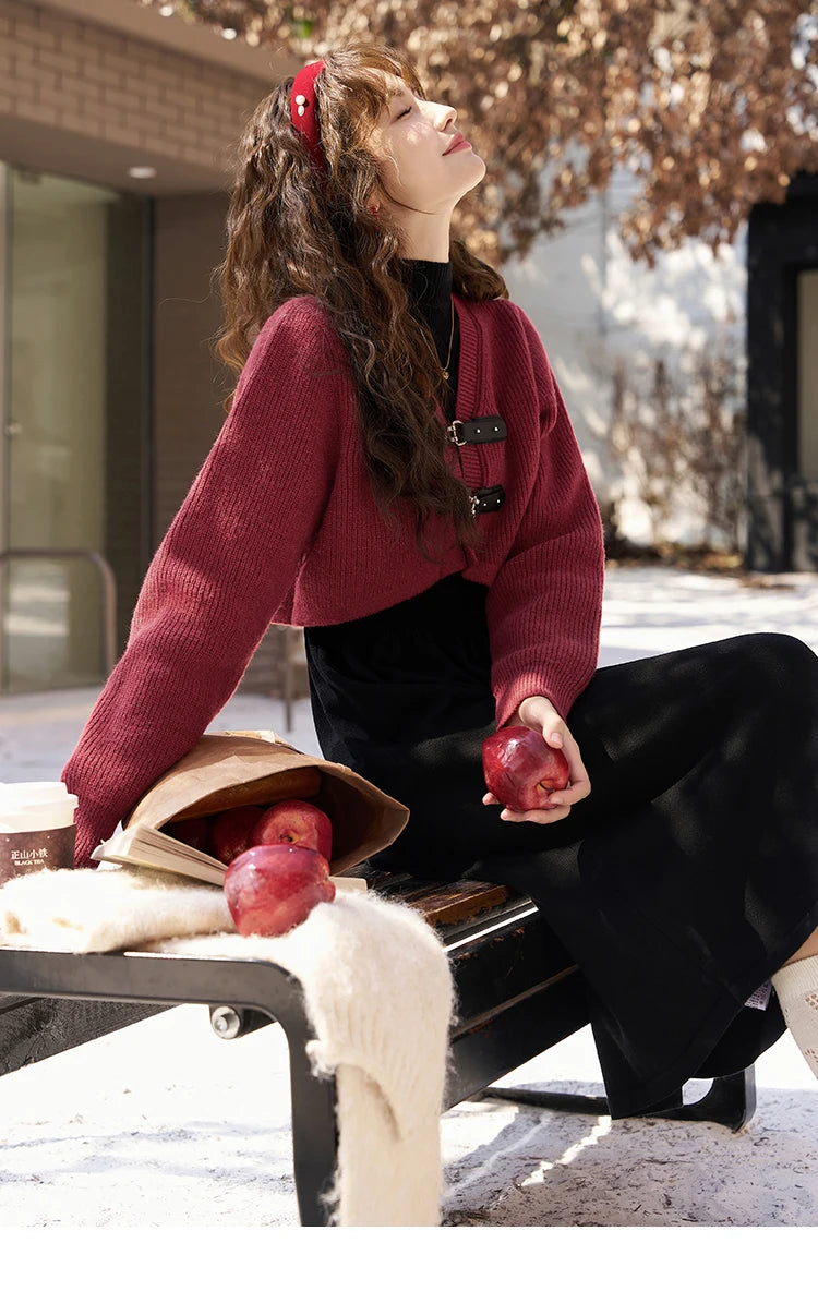 MISHOW Knitted Dress Solid Cardigan Separately Women Winter V Neck Sweater Midi A-line High Waist Dress Short Tops MXC59L1646