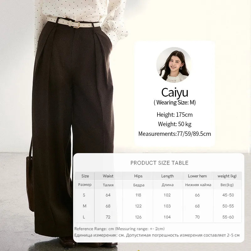 MISHOW Women's Dark Brown Wide Leg Pants 2026 Spring High Waist Pleated Pants Back Elastic Waist Casual Trousers MXF108K1010