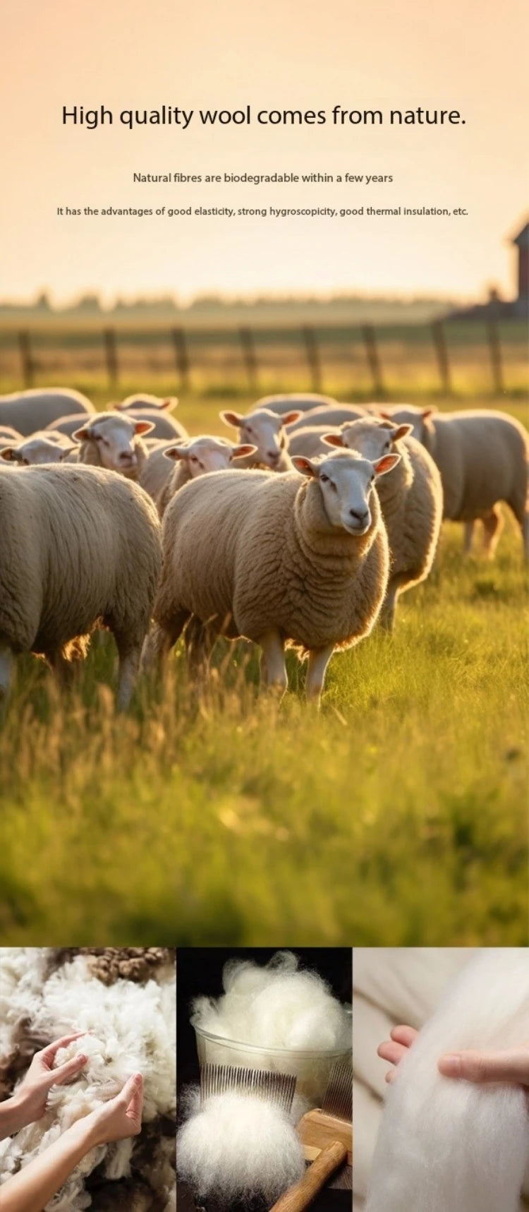 MISHOW Christmas Retro Striped Wool Blend Sweater Women Button Decoration Women Clothing Thick O-Neck Knitted Tops MXD59Z1060